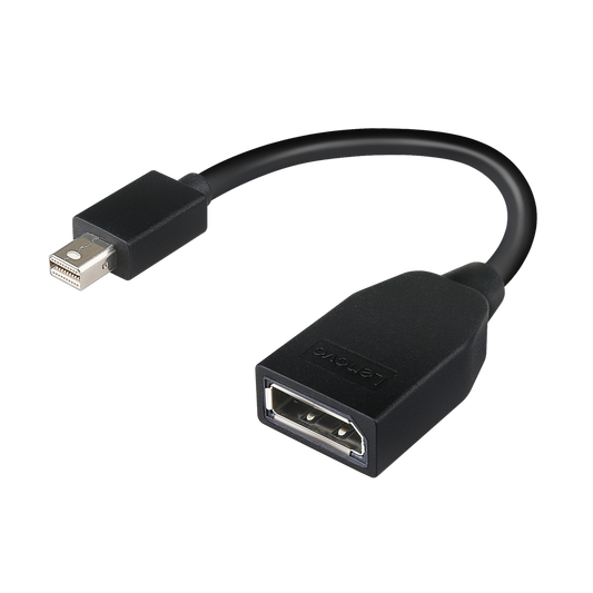 Mini-DisplayPort auf DisplayPort-Adapter