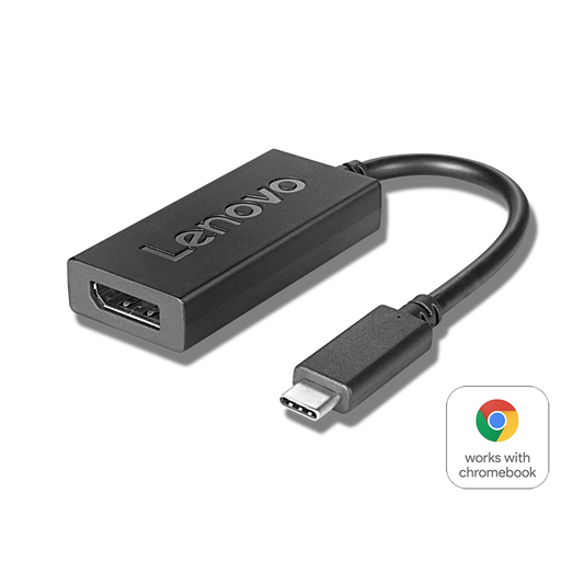 USB-C to DisplayPort Adapter