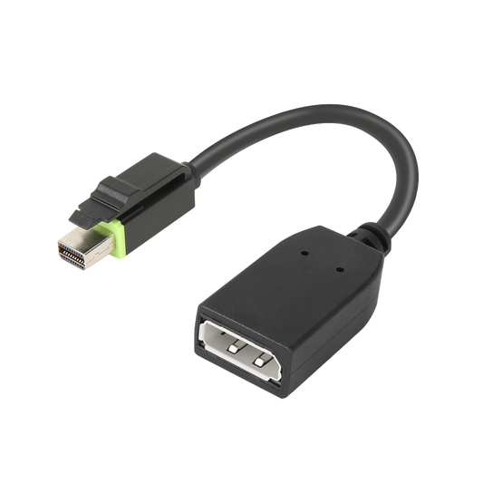 ThinkStation Mini DP to DP Adapter