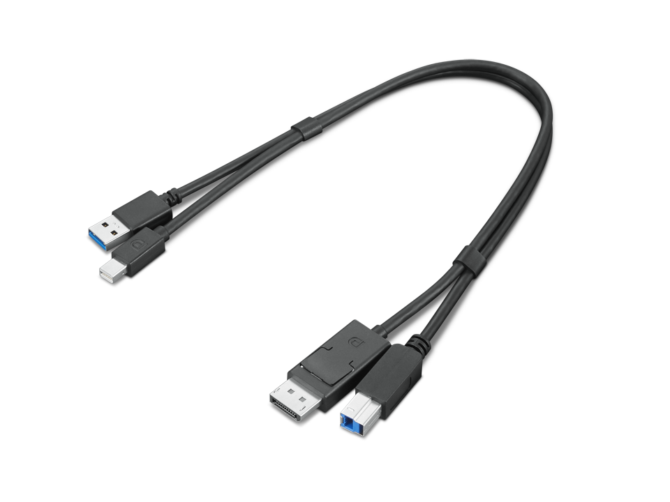 ThinkStation mDP USB-A 3.0 to DP USB-B 3.0 Dual Head Cable