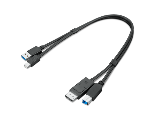 ThinkStation mDP USB-A 3.0 to DP USB-B 3.0 Dual Head Cable